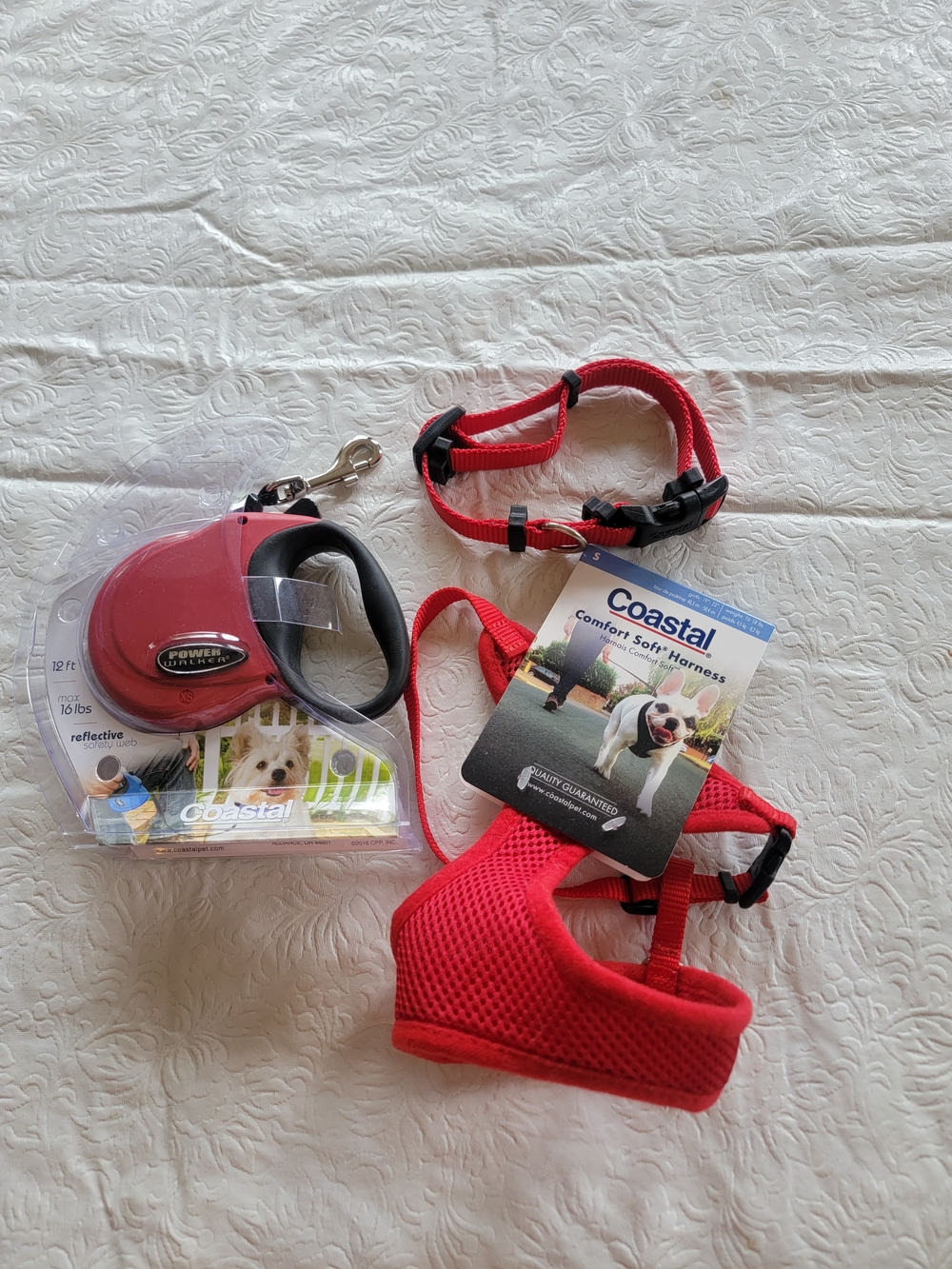 Red Small Pet Harness and Retractable Leash Set
